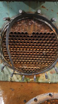 IMG_1344