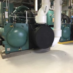 Member Post