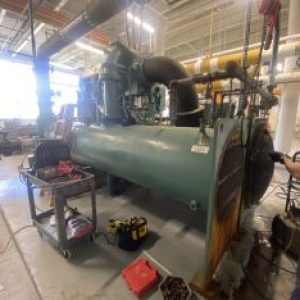 Member Post